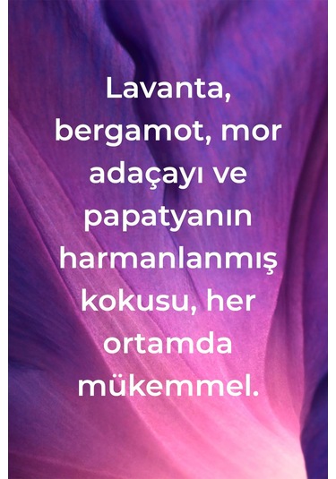 Method French Lavender Sıvı Sabun 354 ML