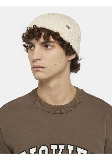 Dickies Lockwood Beanie Unisex Bere Gri