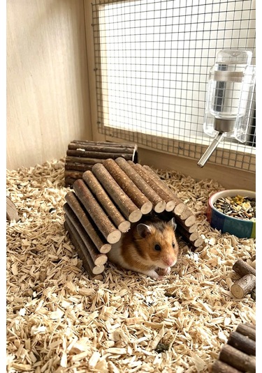 Doğal Ahşap Hamster Tünel Köprü & Yuva