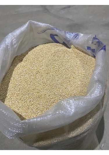 Mezbi Akdarı Muhabbet Kuş Yemi 5 KG