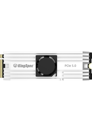 Kingspecvp101-1tbpcie5-10000-10000mbs