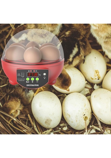 Homyl Yumurta Kuluçka Makineleri Otomatik Civciv Ördek Için