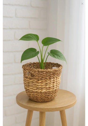 Mini Hasır Saksılık 20 Cm Hasır El Örgüsü Mini Saksı 14023 -