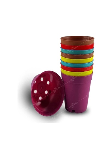 Katı Plastik Sukulent Saksısı 20 Adet Koyu Mor 5.5 Cm