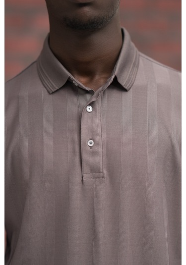 Regular Fit Likralı Kendinden Çizgili Polo Yaka T-shirt Vizon