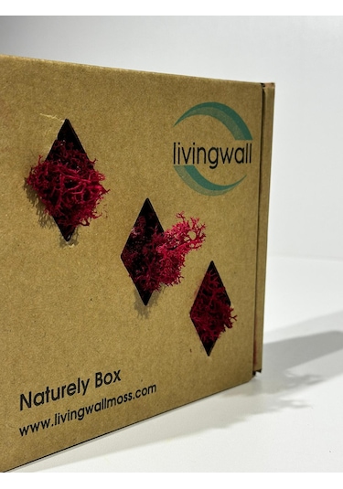 Reindermoss Şoklanmış Norveç Yosunu Terarium Yosunu Fushia 100 Gr.