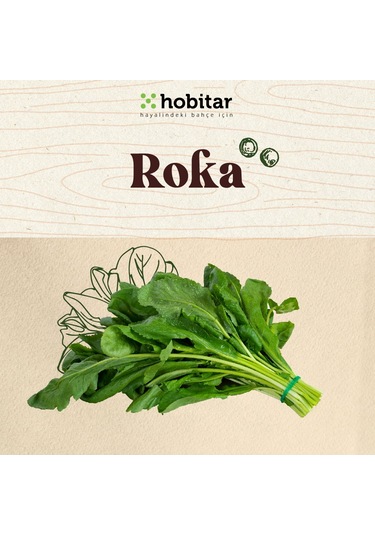 Hobitar Kolay Yetişen Yaze Yeşillikler Sebze Tohumu Paketi - 5 Çeşit Aromatik Tohumu