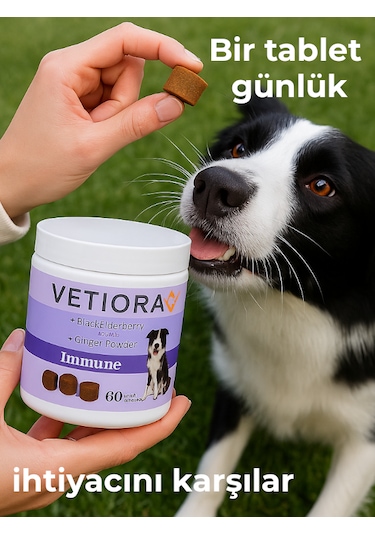 Vetiora Köpekler İçin Sindirim Ve Bağışıklık Sistemi Güçlendirici Immune Ödül Maması Formunda, 150 Gr
