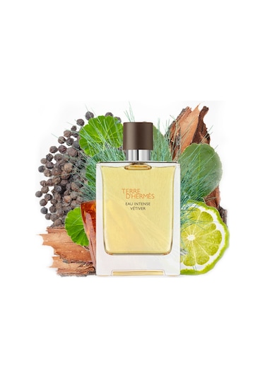 Hermes Terre D'Hermes Erkek Parfüm EDT 200 ML