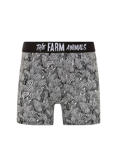 Farm Animals Zebra Desenli Boxer