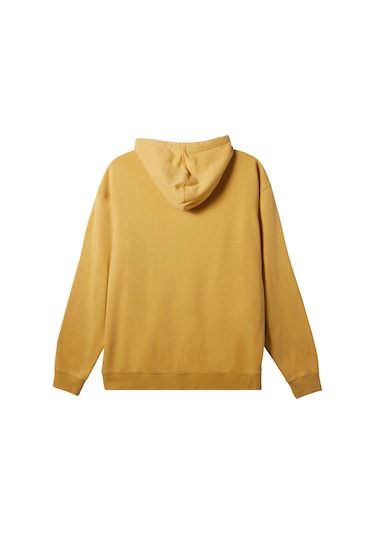 Quiksilver Salt Water Hoodie Erkek Sweatshirt Renkli