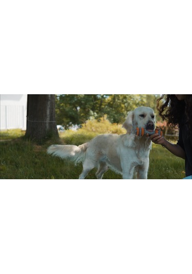 Twisstydog Kauçuk Diş ve Dil Temizleyici Köpek Çiğneme Oyuncağı