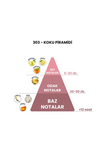 BEX 303 Unisex Parfüm EDP 50 ML