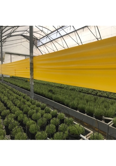 Uğurbatın Sarı Rulo Tuzak 0,30cm 100mt