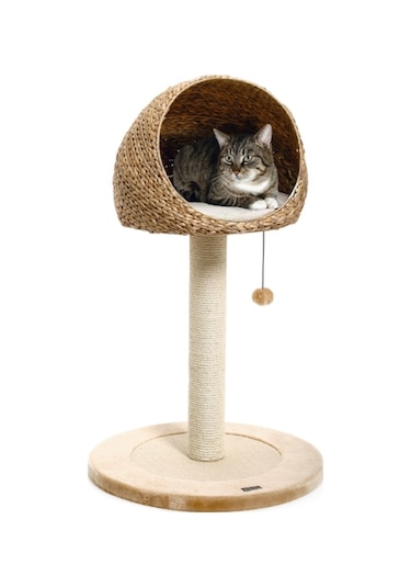 Karlıe Kedi Tırmalama Muz Yaprağı Iı 56x93cm