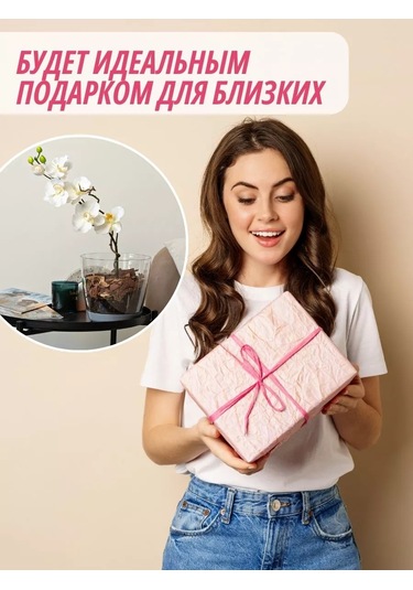 Elly Home Orkide İçin Büyük Şeffaf Saksı 171430255