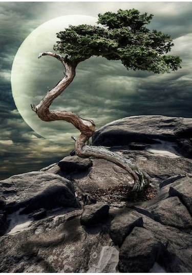 Nova 1000 Parça Doğanın Mucizesi Puzzle