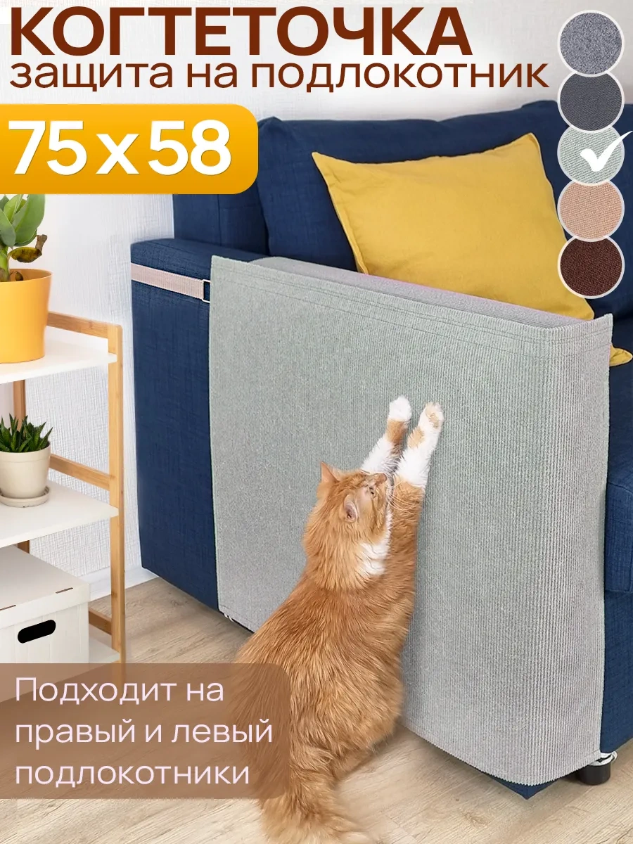 Aseliadia Kedi Kola Sopa Yıkama Aparatı 75x58 276694320