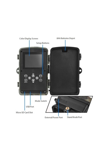 Dancemonkey Kamerası Gece Görüşlü Hareketle Etkinleştirilen Su Geçirmez 2.7k 24mp 120 Yaban Hayat Çok Renkli