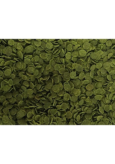 Spirulina Chips Pro 250ml Kutu Akvaryum Balık Yemi