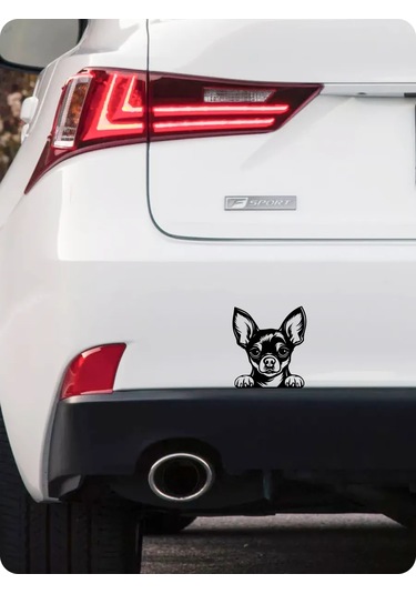 Stadi Dikkat Eden Köpek Etiketi 201967031 Siyah