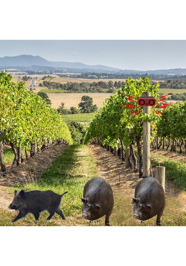 Reedark Güneş Enerjili Hayvan/kuş Çevirici Alarm: 5-8m Enstrüman Mesafesi, Ir Kumanda, 4 Mod Işıklı Sesli Uyarı, N911t