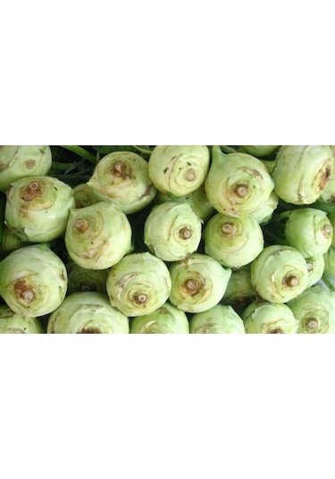 Süper Paket 400 Tohum Meşhur Alabaş Tohumu Kohlrabi Tohumu