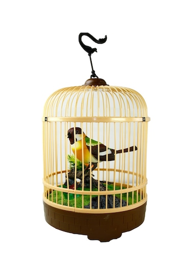 Vardem Kutulu Kafesli Büyük Kuş