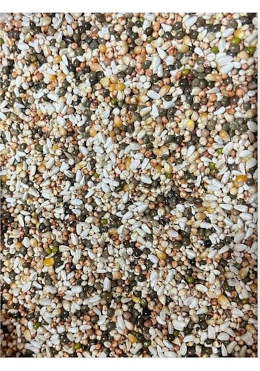 Kuşlara Çimlendirmelik Filizlendirmelik 11 Çeşit Tohum 1 KG