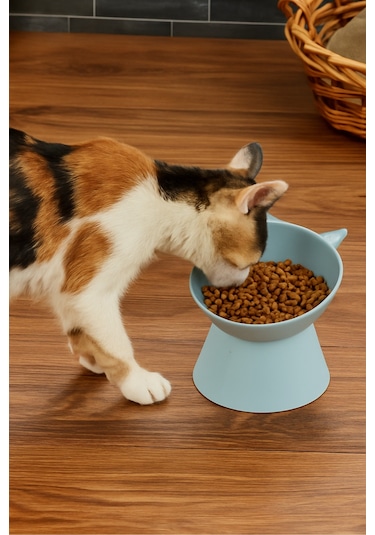 Yüksek Ayaklı Evcil Hayvan Mama Kabı - Mavi