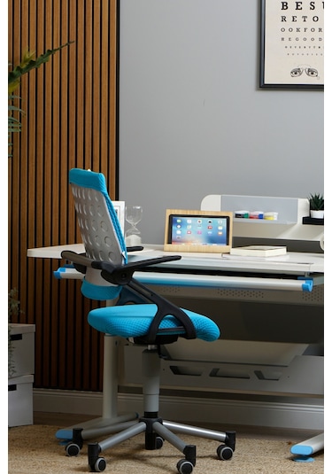Creo Mobili Yükseklik Ayarlı Vega Plus Çalışma Sandalyesi, Ofis Ve Bilgisayar Koltuğu Mavi/mavi Gri Creo Mobili Yükseklik Ayarlı Vega Plus Çalışma Sandalyesi, Ofis Ve Bilgisayar Koltuğu Mavi/mavi Gri