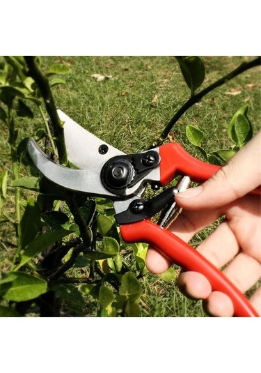 Pazly Meyve Makası, Makası, Makası Budama Budama Bahçe Ağaçları Cq