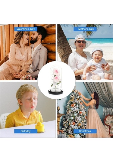 Novahub Cam Kubbe Kutuda Yapay Gül Led Işıkla, Sonsuza Kadar Gül Çiçeği Anneler Günü Sevgililer Günü Düğün Festivali Yıldönümü Hediyesi