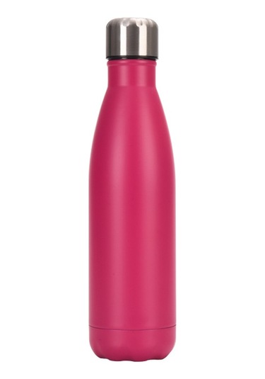 Dinosaurs 500ml Çift Duvar Paslanmaz Çelik Su Şişesi Termos Şişe Sıcak Ve Soğuk Tutun Yalıtımlı Vakum Şişesi Spor Gül Gül Kırmızı