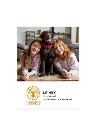 Lifinity Köpekler Ve Kediler İçin Parfüm, 100 Ml 381084724