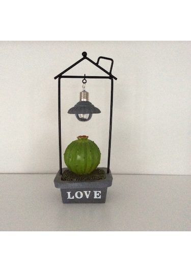 Kaktüs Figürlü Biblo Diğer