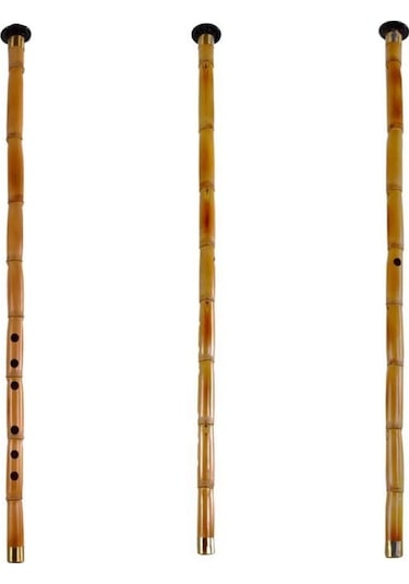 Kamış Ney Donizetti Kılıf