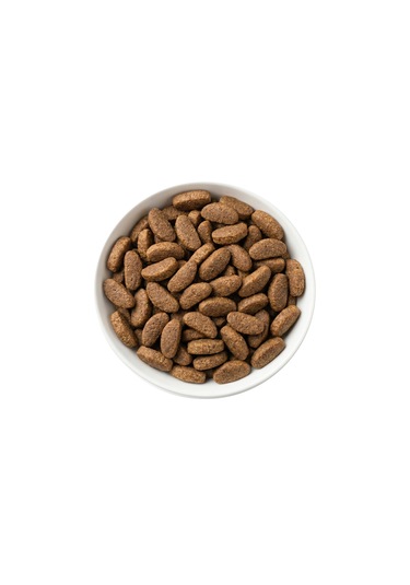 Zampa Plus Premium Biftekli ve Pirinçli Yetişkin Köpek İçin Kuru Mama 15 KG