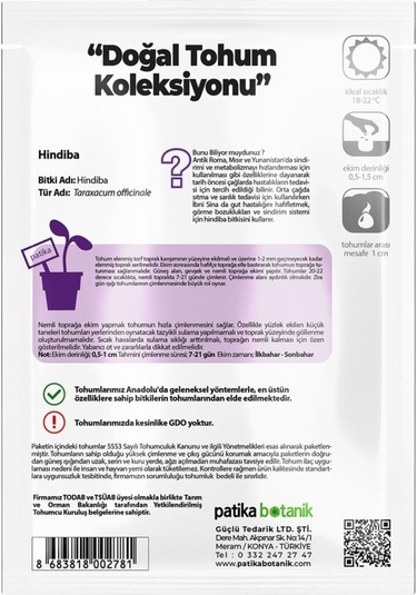 500 Adet Hindiba Tohumu