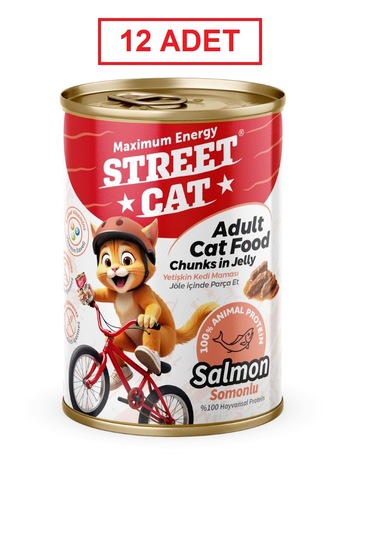 Street Cat Chunks İn Jelly Somonlu Kedi Konserve 400gr 12li