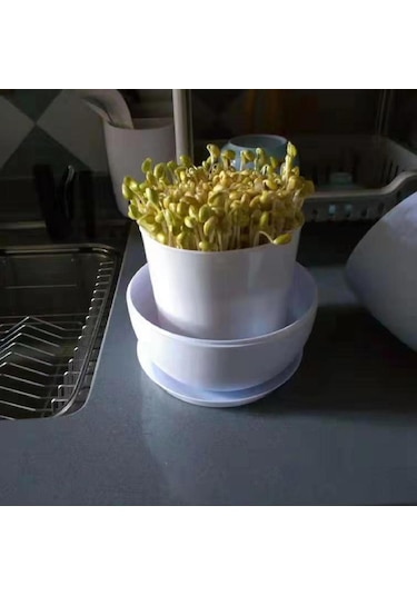 Suntek Tohum Filizleme Kabı Bezelye Bahçesi Kapaklı Depolama