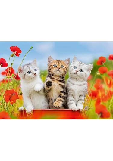 Ravensburger 2 Adet 12 Parçalı Puzzle Yavru Kediler Ravensburger 3 Yaş Ve Üzeri Çocuk Yapbozları Serisi