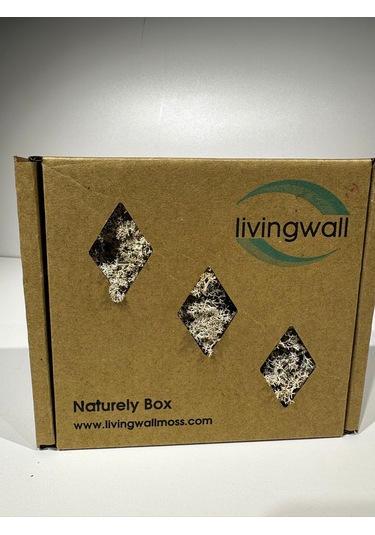 Reindermoss Şoklanmış Norveç Yosunu Terarium Yosunu Natural Green 100 Gr.