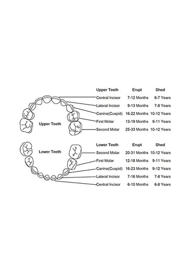 Moveevo Mavi Bebek Diş Ve Tüylerini Saklama Kutusu - Unutulmaz Anıları Koruyucu Pp+eva Materyalli Minik Hediyelik Kutu