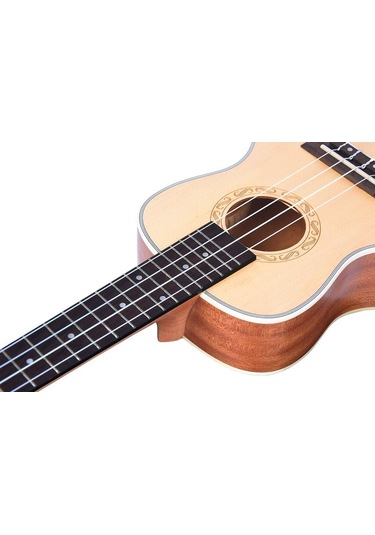 Tayste Tuk210-24 Concert Ukulele