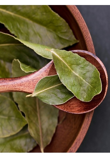 İlaçsız Gübresiz 150 GR defne Yaprağı Günlük Dalından Topl