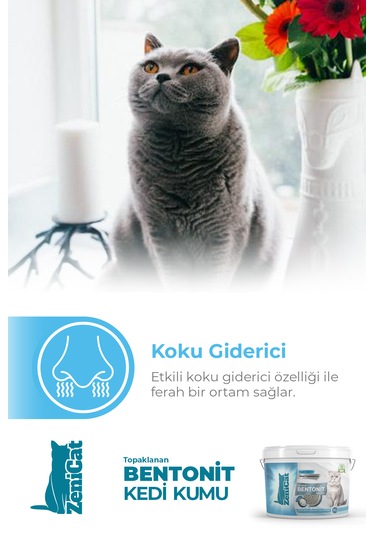 Zenicat Marsilya Sabun Kokulu Renkli İnce Taneli Doğal Bentonit Kedi Kumu 5 L