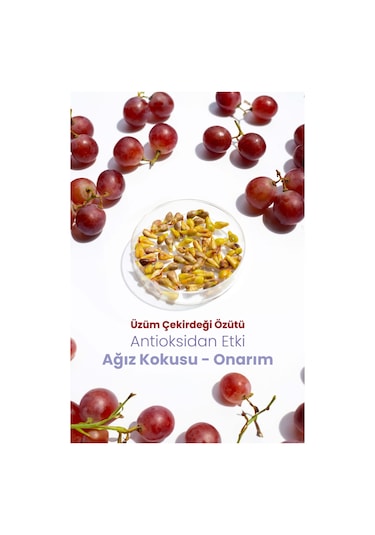 Probident Üzüm Çekirdeği Özütü İlaveli Probiyotik Diş Macunu 75 ML