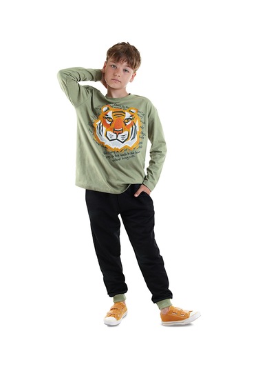 Denokids Kaplan Erkek Çocuk T-shirt Pantolon Takım Renkli