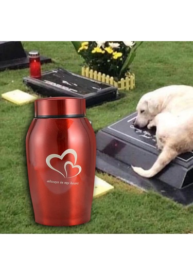 Homyl Köpekler Kediler Küller Gevşek Anıt Evcil Kırmızı Altın